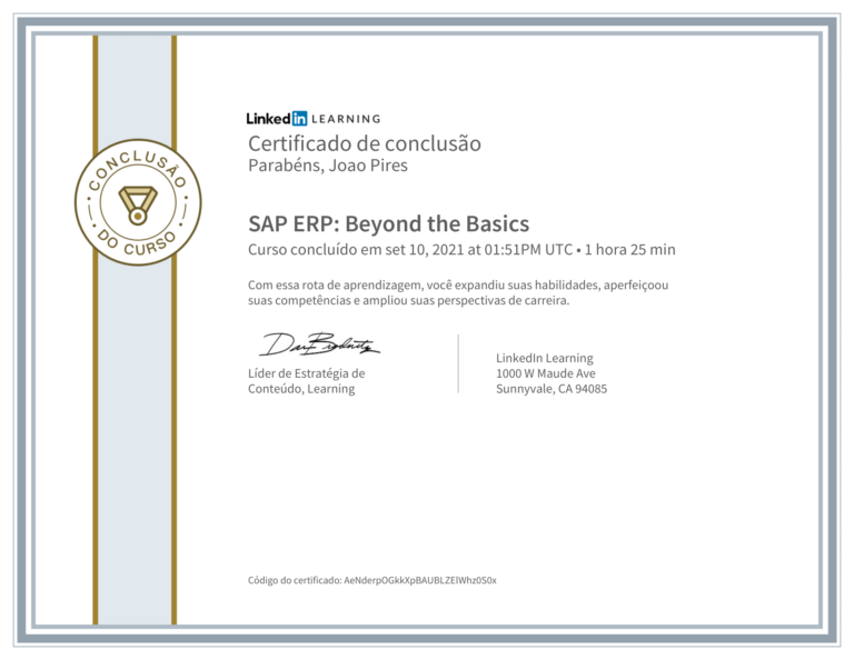 SAP ERP: Beyond the Basics