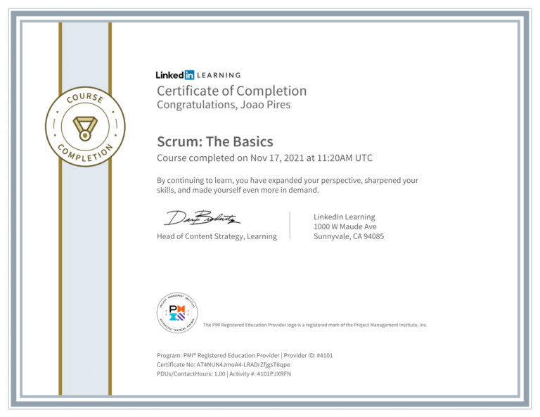 Scrum The Basics